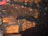 egitto lupo 3 176